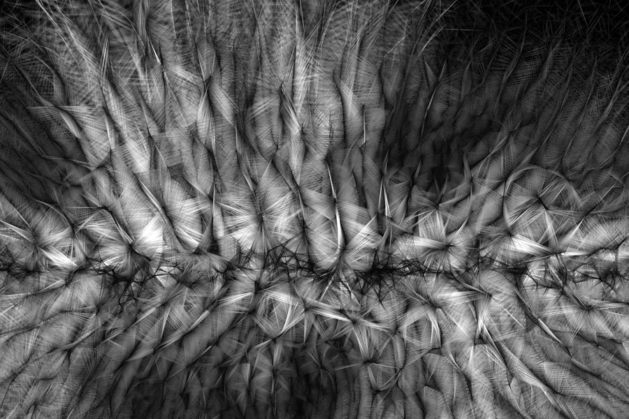 Obra Process 18